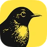Revealbot logo